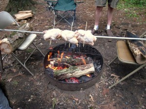 chickens, beginning their delicious journey